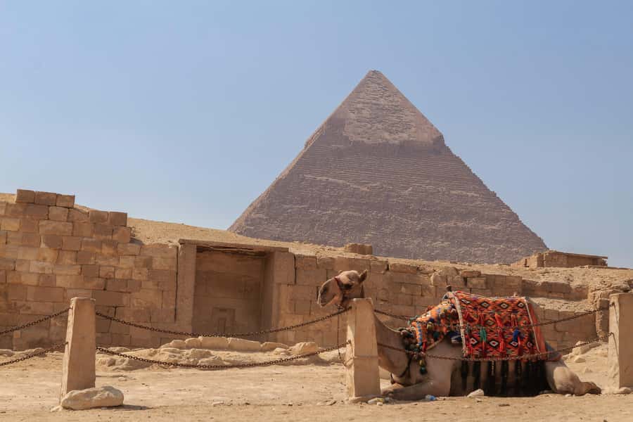 Cairo: Pyramids, Sphinx & Grand Egyptian Museum Private Tour - Guides, languages, and the private format