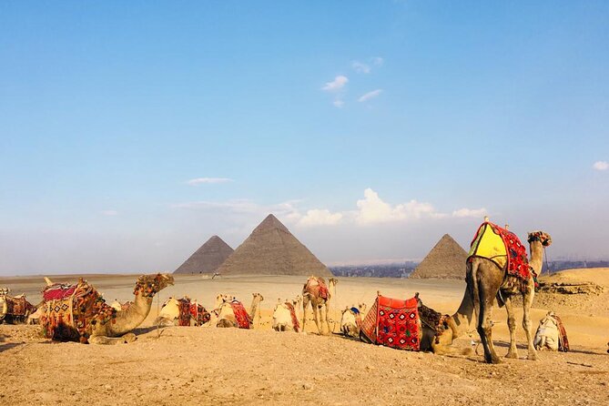 Cairo Sightseeing Tour (Giza Pyramids + Museum + Khan el Khalili Bazaar) - The guide makes the biggest difference
