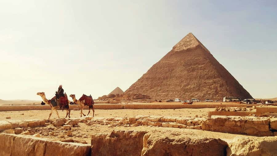 Cairo: Sunrise Camel Ride, Pyramids Tour & Local Breakfast. - Meeting the Great Sphinx