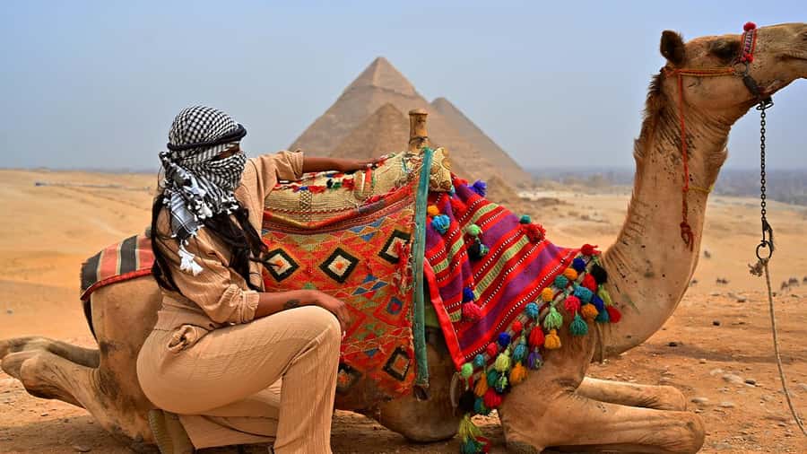 Cairo: Sunrise Camel Ride, Pyramids Tour & Local Breakfast. - Breakfast with Khufu or the Grand Egyptian Museum in View