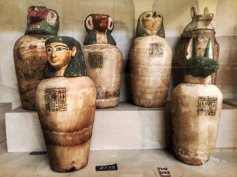Cairo Tour To Egyptian Museum, Citadel & Khan Khalili Bazaar - Language, guide quality, and the small risk of mismatch