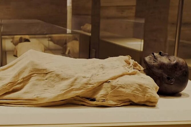Cairo Tour To The National Museum of Egyptian Civilization, Citadel & Bazaar - The National Museum of Egyptian Civilization and its royal mummies
