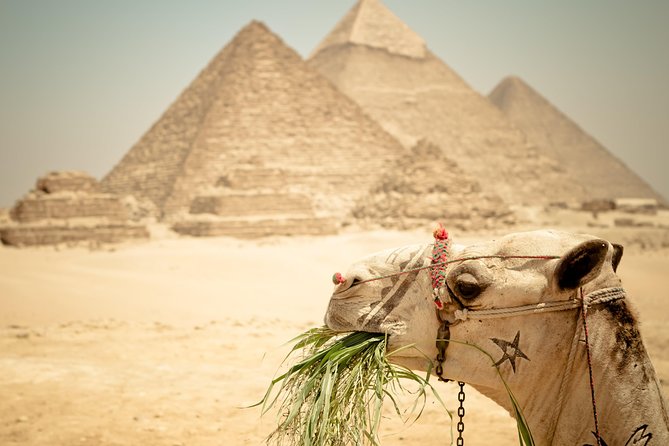 Camel Ride around the Pyramids During Sunrise Or Sunset - Hotel pickup makes the start easier