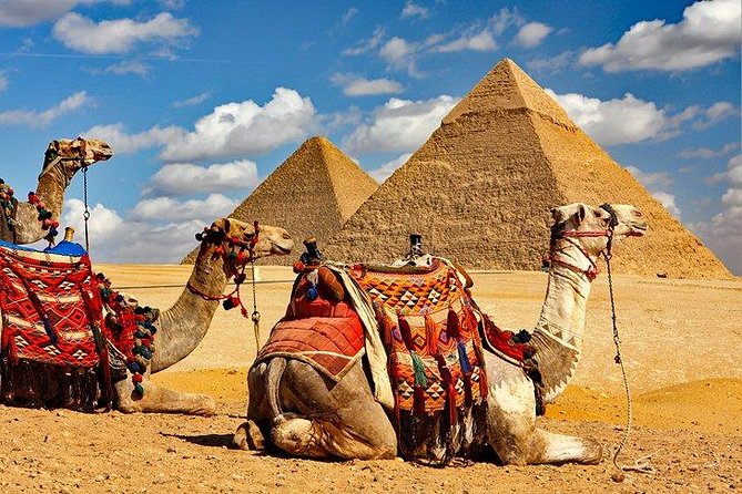 Day tour Giza Pyramids,Memphis & Sakkara Day Tour From Cairo - Who Should Book This Tour?