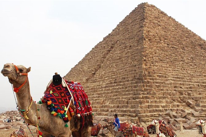 Day Tour To Cairo From Alexandria - Pace, comfort, and mobility