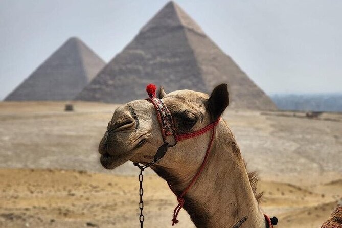 Day tour to Giza Pyramids, Memphis and Sakkara - Why this Cairo day tour works
