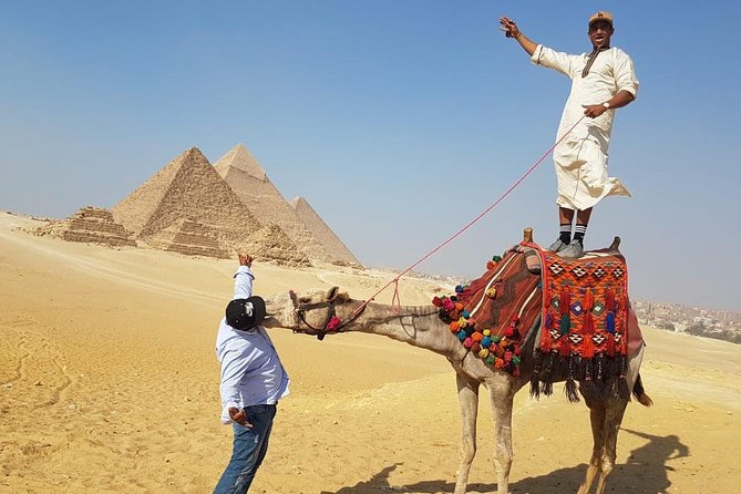 Day Tour To Pyramids of Giza and Egyptian Museum - The Great Sphinx adds a different kind of drama