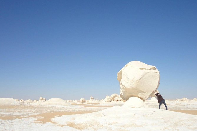 Day Trip To Bahariya Oasis Visit Black And White Desert From Cairo - Who should book this desert day?