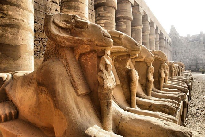 Day Trip To Luxor From Cairo By Plane - Lunch in the middle of a very full day