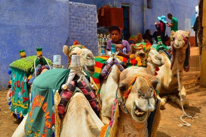 Day Trip to Nubian Village with Camel Tour from Aswan - The camel ride through the village