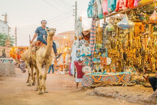 Day Trip to Nubian Village with Camel Tour from Aswan - A short visit with time for photographs
