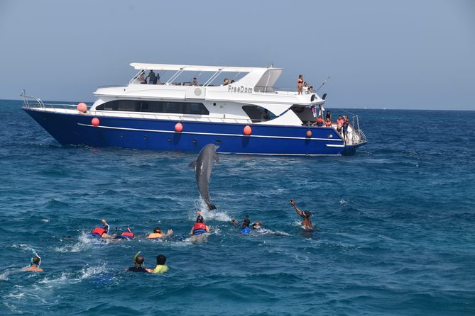 Dolphin House and Banana Boat Fun from Hurghada - Key points at a glance