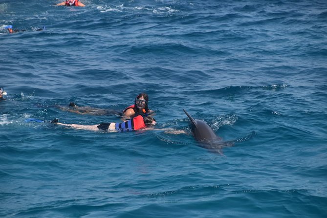 Dolphin House and Banana Boat Fun from Hurghada - Why Dolphin House is the real focus