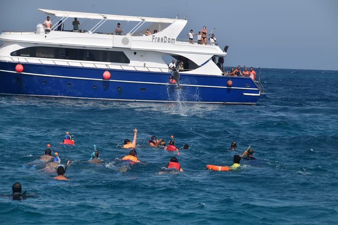 Dolphin House and Banana Boat Fun from Hurghada - The cruise from Hurghada, El Gouna, or Makadi