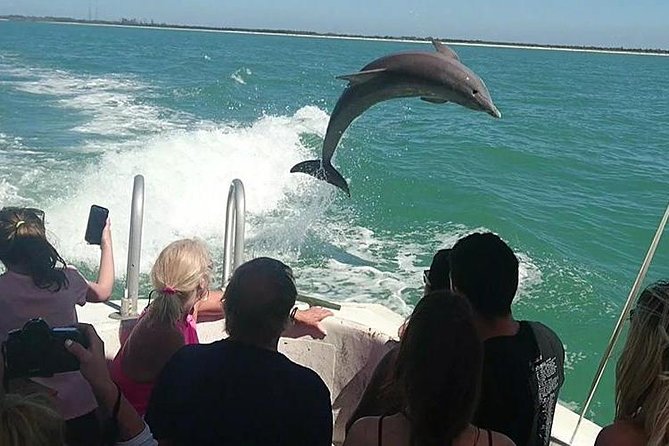 Dolphin House By Private Speed Boat & Drinks & Transfer-Hurghada - The speedboat ride to Dolphin House