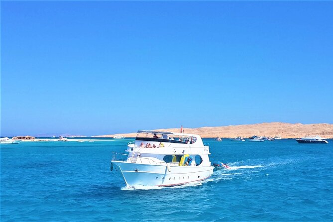 Dolphin House By Private Speed Boat & Drinks & Transfer-Hurghada - Practical things to bring and confirm