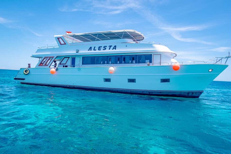 Dolphin Tour with Red Sea Fun. The Best in Hurghada - A boat day with food, coffee, and Arabic sweets