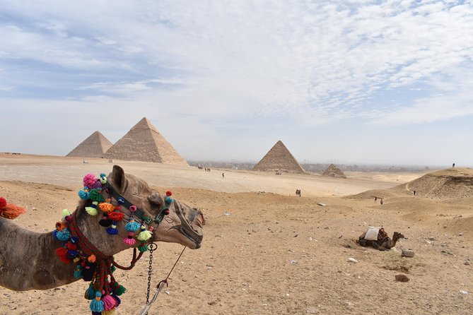 Egypt Tours package for 6 Days - Day 3: Royal tombs and temples in Luxor