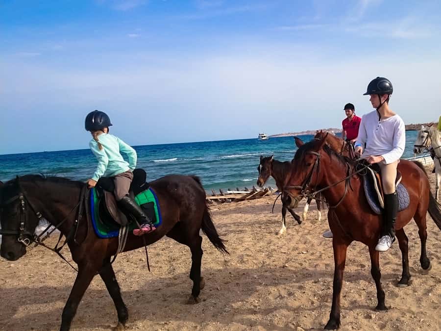 El Gouna: Desert & Sea Horse Riding With Swimming Optional - Who will enjoy this most