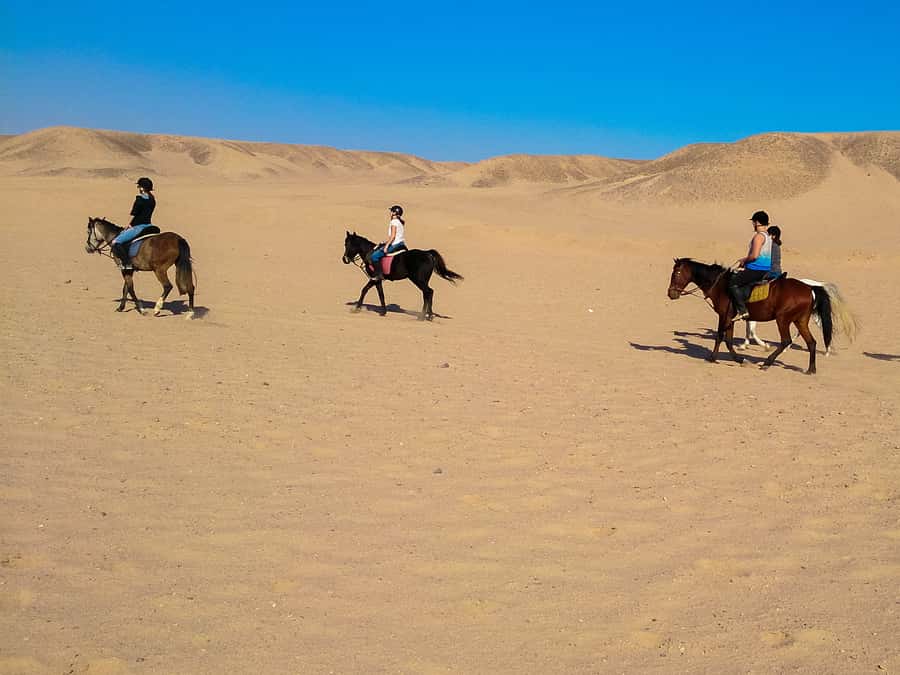 El Gouna: Desert & Sea Horse Riding With Swimming Optional - The quad bike and horse combination