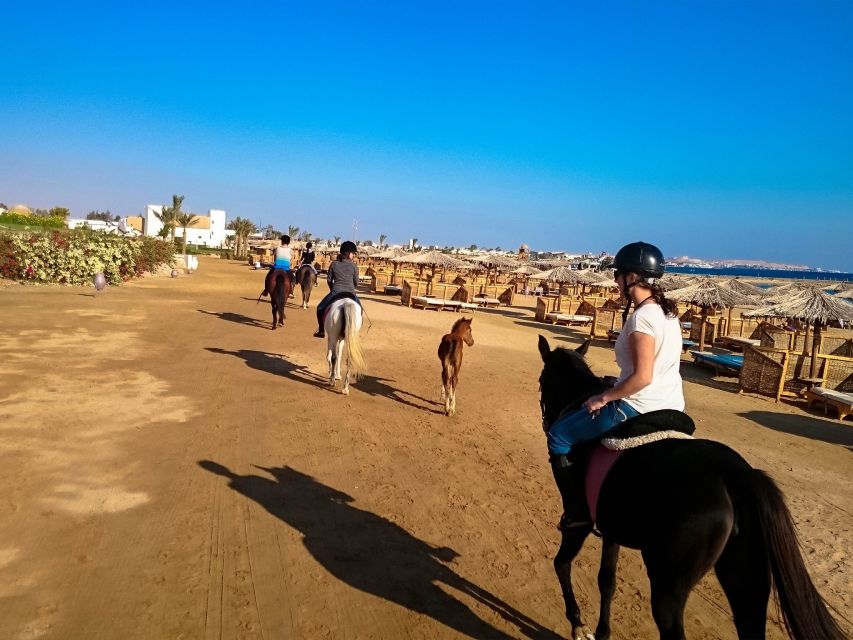 El Gouna: Desert & Sea Horse Riding With Swimming Optional - Comfort, clothing, and safety