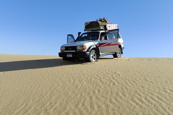 Enjoy safari The black and white desert two night 3 days - From Bahariya Oasis into the Black Desert