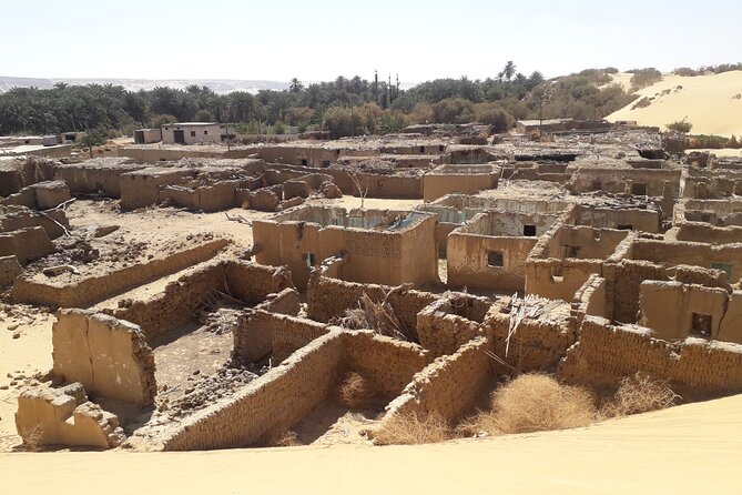 Enjoy safari The black and white desert two night 3 days - What $650 means for two people