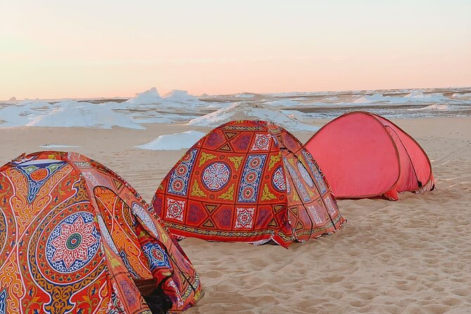 Enjoy safari The black and white desert two night 3 days - Who will enjoy this safari most