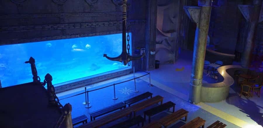 Entry Ticket: Grand Aquarium Hurgada - Key things to know before you go