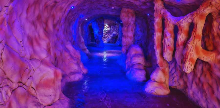 Entry Ticket: Grand Aquarium Hurgada - Crossing the rope bridge above the exhibits