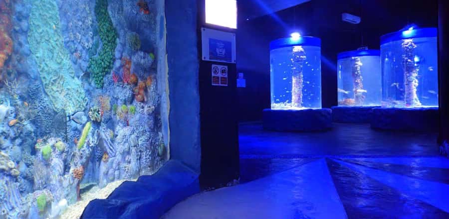 Entry Ticket: Grand Aquarium Hurgada - Rainforest sounds, reptiles, and birds