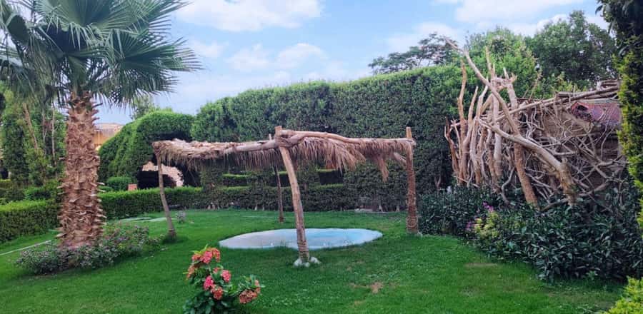 Entry Ticket: Grand Aquarium Hurgada - The mini zoo and rescued animals