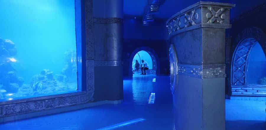 Entry Ticket: Grand Aquarium Hurgada - Entering through the jungle-style entrance