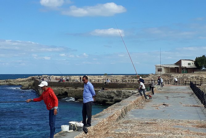 Exceptional Alexandria tour from Cairo + Alexandria food tour - The guide and driver arrangement