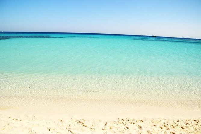 Excursion to the White Island & Ras Mohammed National Park from Sharm El Sheikh - Booking details worth checking first