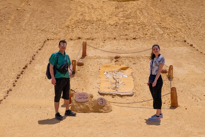 Fayoum Oasis Adventure 4WD Desert Safari with Traditional Lunch - Wadi Al Hitan and the Story of Ancient Whales