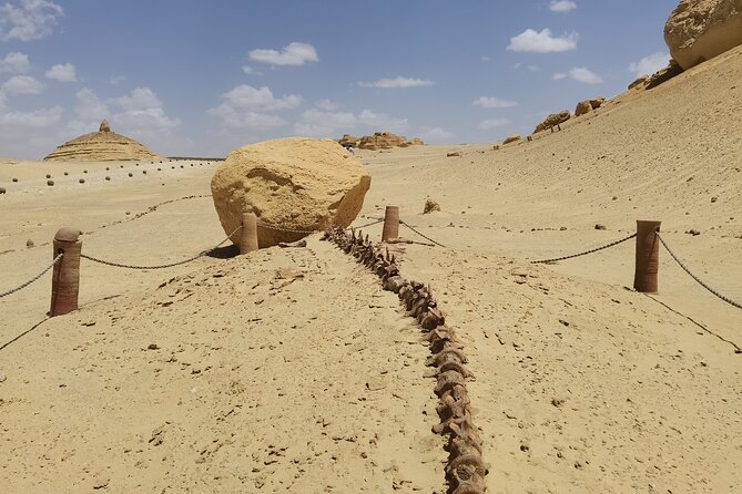 Fayoum Oasis Adventure 4WD Desert Safari with Traditional Lunch - What the $100 Price Really Buys