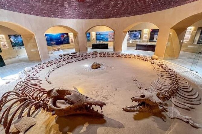 Fayoum Oasis Tour Hidden Gem Wadi El Rayan & Valley of the Whales - Why this Fayoum day trip is worth your Cairo time