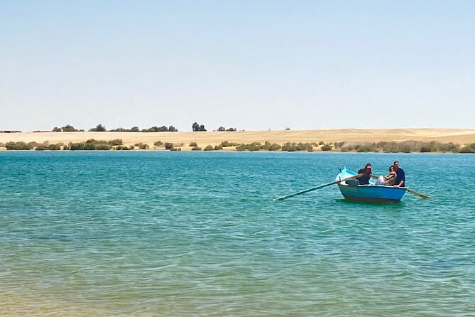 Fayoum Oasis Tour Hidden Gem Wadi El Rayan & Valley of the Whales - Is $130 a fair price?