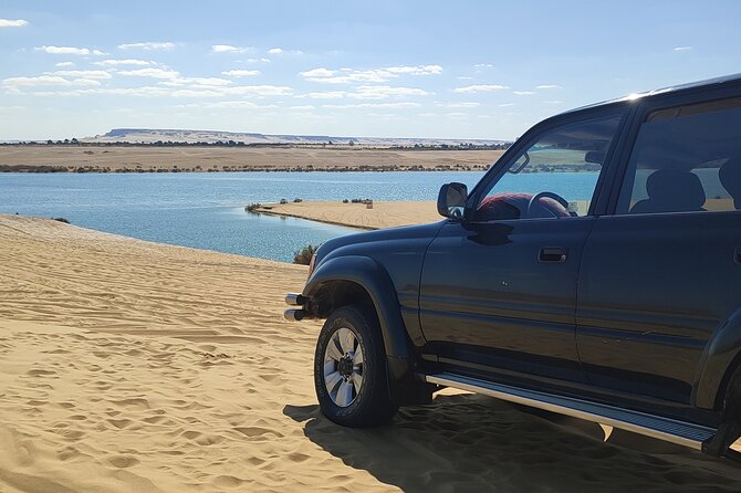 Fayoum Oasis Tour Hidden Gem Wadi El Rayan & Valley of the Whales - Who should book this experience?