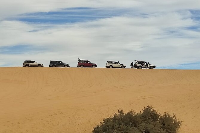 Fayoum Oasis Tour Hidden Gem Wadi El Rayan & Valley of the Whales - A private guide can change the quality of the day
