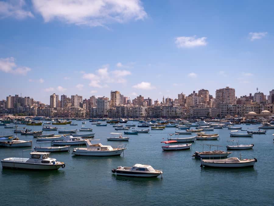 From Alexandria:- Alexandria Top Highlights half-day tour - What the guide adds to the day