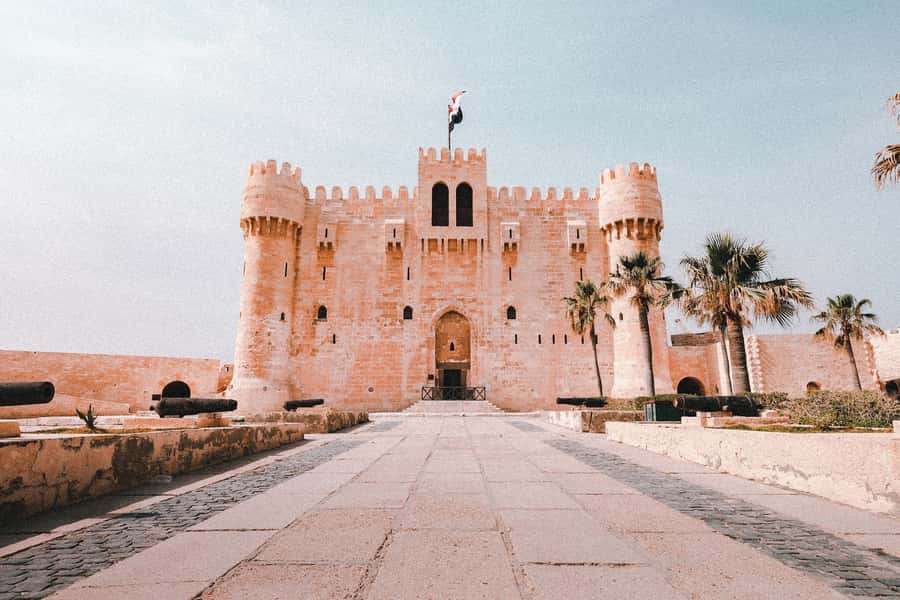 From Alexandria:- Alexandria Top Highlights half-day tour - Harbor views and Alexandria’s old downtown