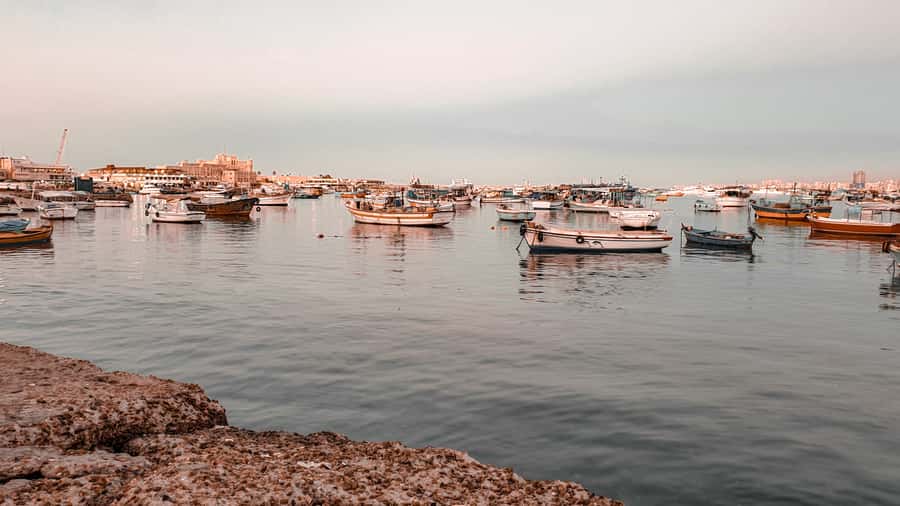 From Alexandria: Highlights of Alexandria Full City Tour - The Roman amphitheater and a vanished community