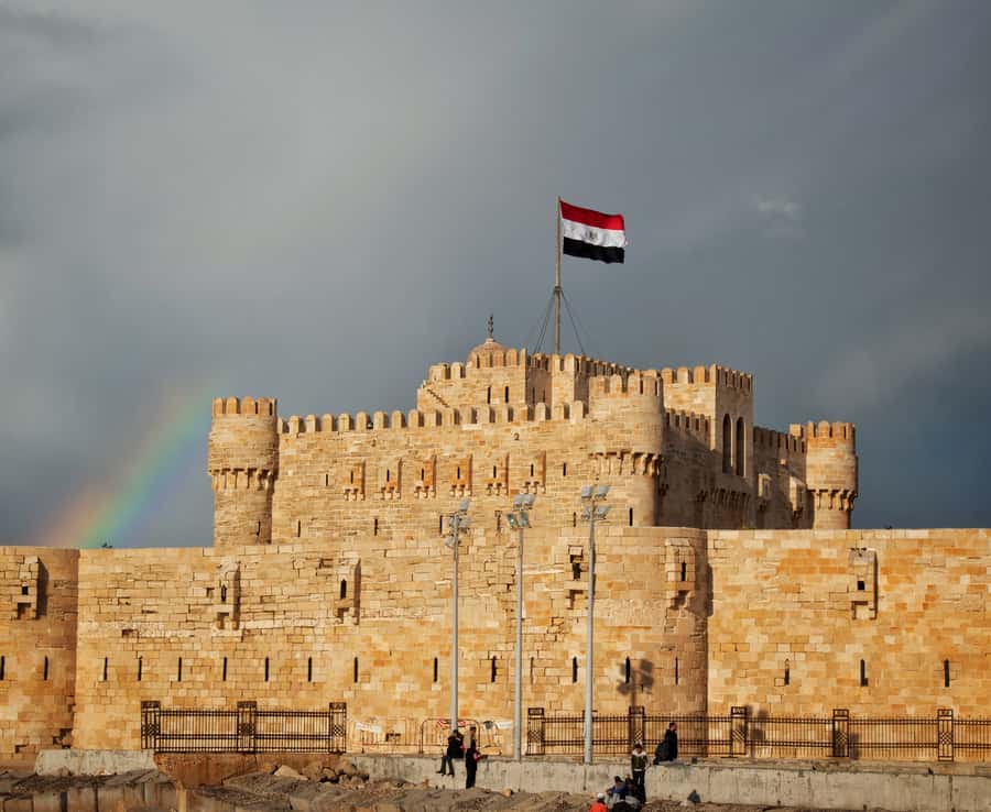From Alexandria: Highlights of Alexandria Full City Tour - The city’s oldest large mosque