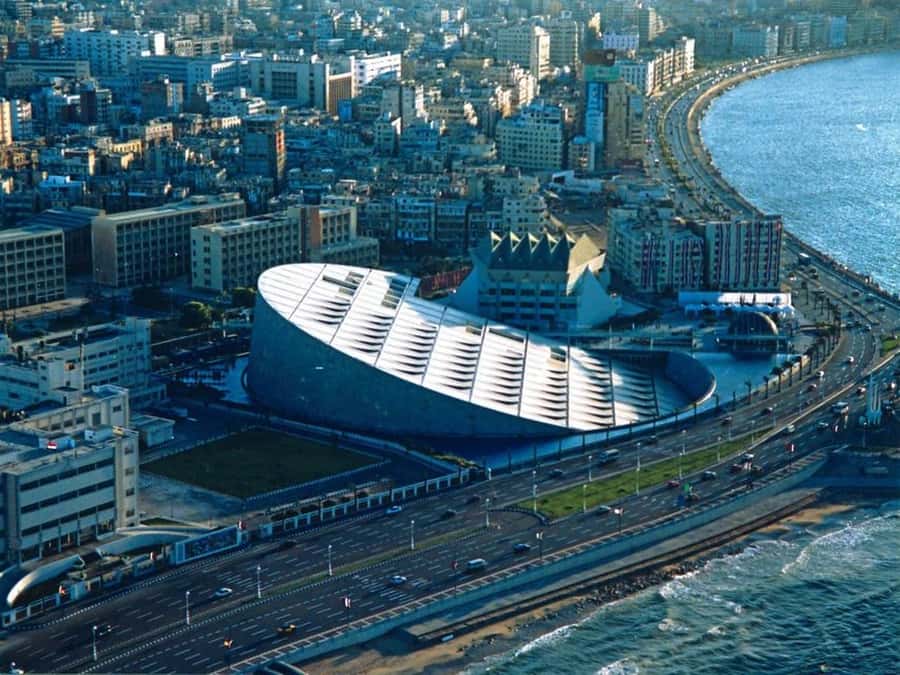 From Alexandria Port: Alexandria Day Tour - The library, statues, and museum rooms