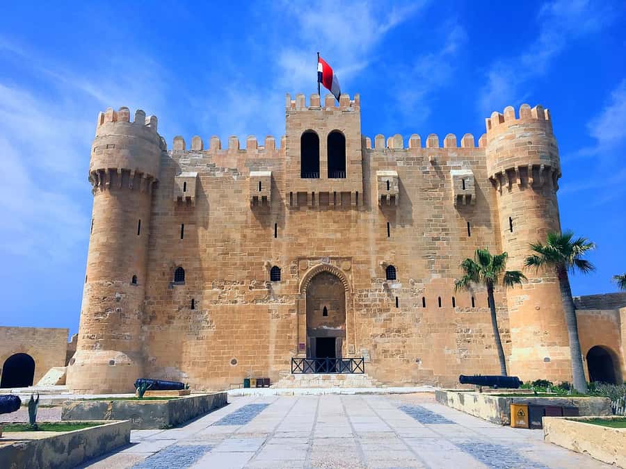 From Cairo: 5-Day Egypt Highlights Private Tour with Flights - Day four: Abu Simbel, Aswan, and a flight back to Cairo