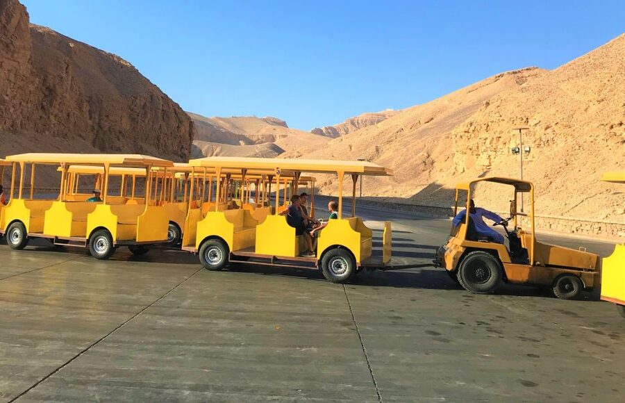 From Cairo: 5-Day Nile Cruise to Aswan & Balloon by Flights - What the guides add to the experience
