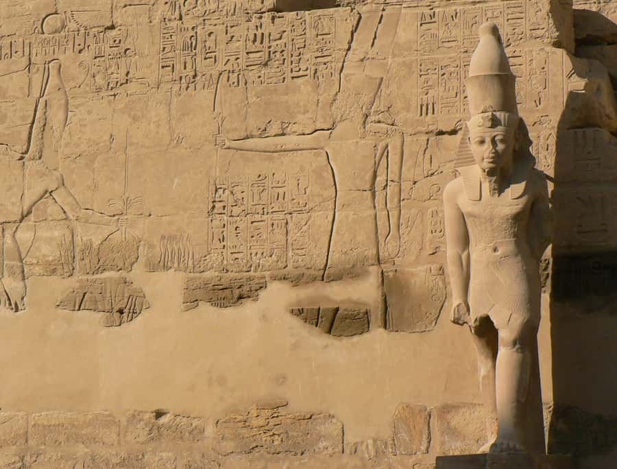 From Cairo: 5-Day Tour with Nile Cruise, Balloon, & Flights - Guides, language, and the quality of explanations