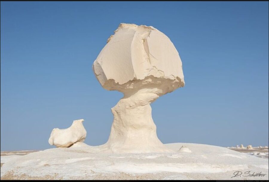 From Cairo: Bahariya Oasis and Black and White Desert Tour - Bahariya Oasis and the changing desert scenery